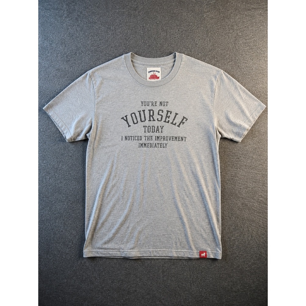 Tennessee River Mens Gray Sarcastic Graphic T-Shirt You're Not Yourself Today M